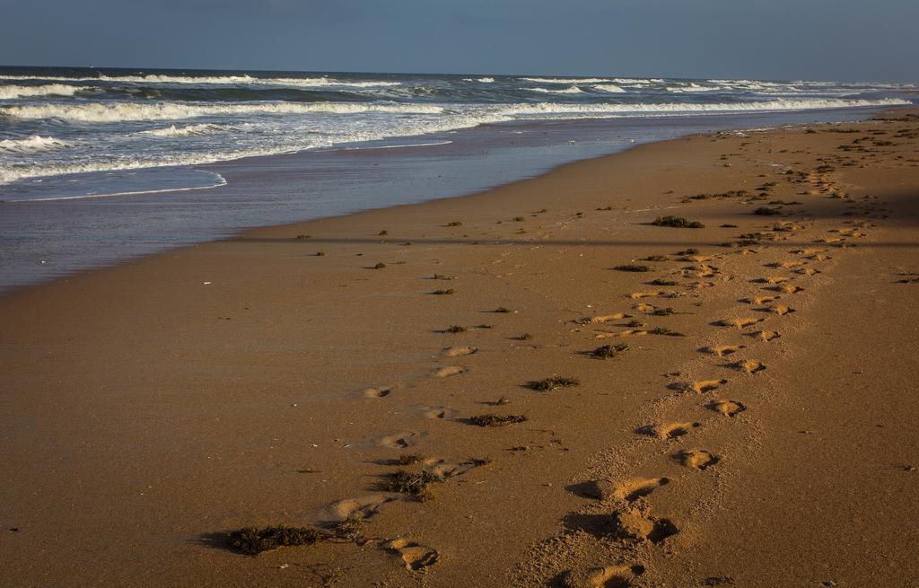 View The Ocean At Flagler Beach, Florida Bagian luar foto